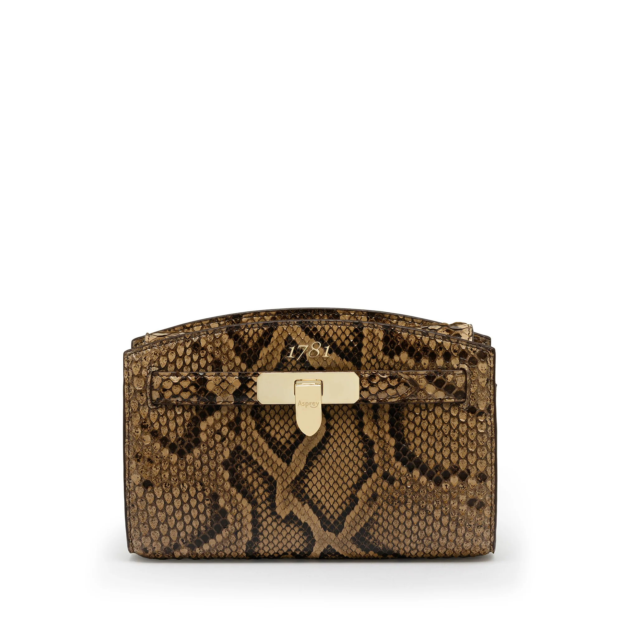 1781 Pochette Handbag in Python