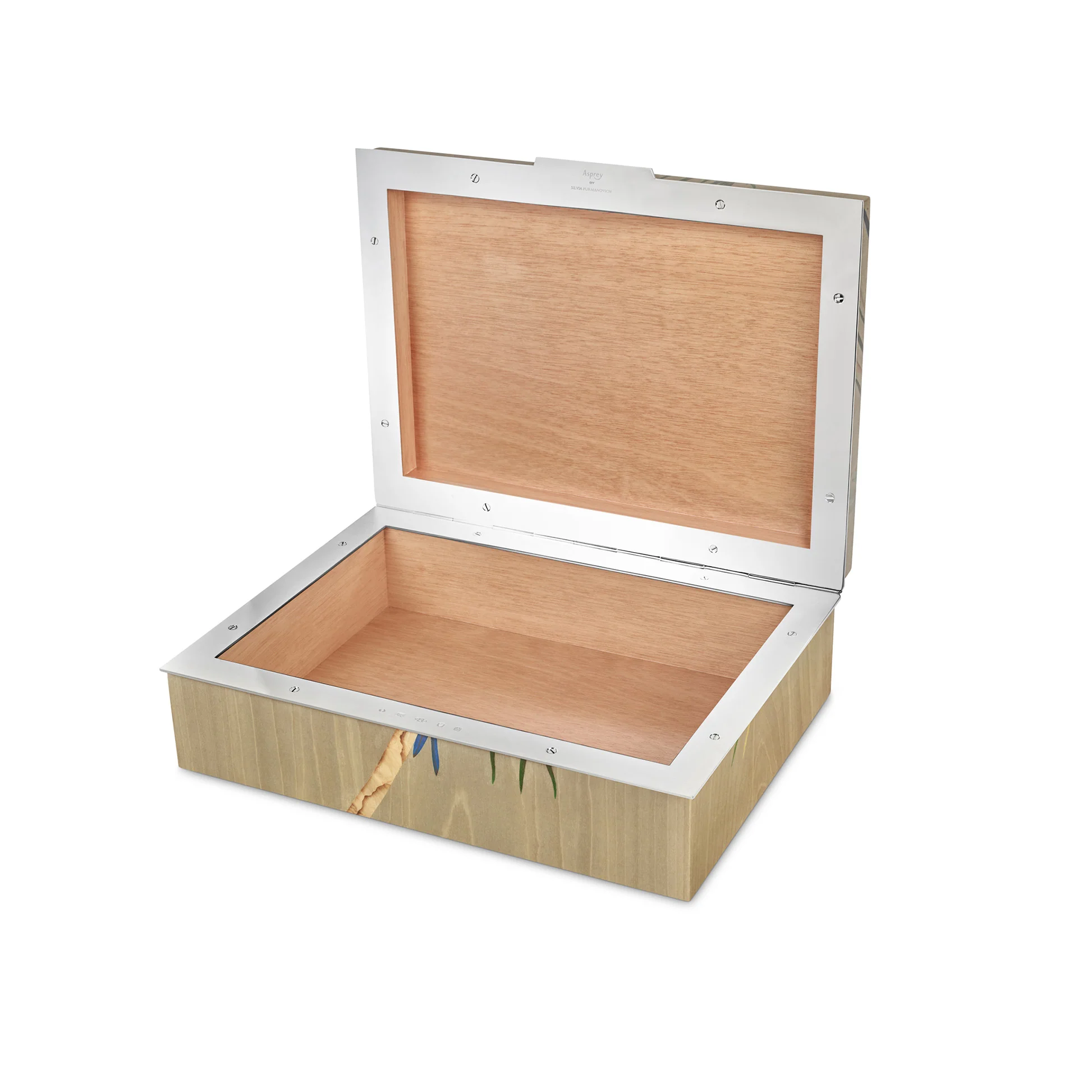 Parrot Marquetry Box in Wood & Sterling Silver - Image 3